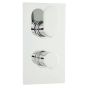 Hudson Reed Reign Twin Concealed Shower Valve - Chrome