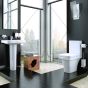 Kartell Sicily Back to Wall Toilet With Soft Close Seat