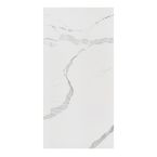 RAK Tech Marble White Venato Polished Tiles 600mm x 1200mm 
