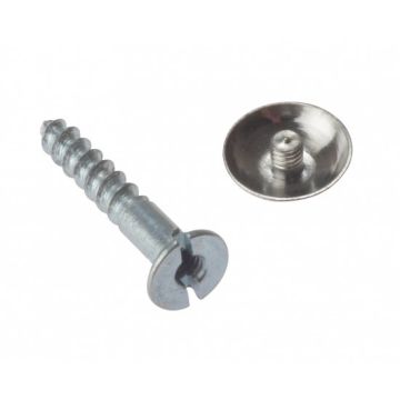 Chrome Mirror Screws 1" x 8g - Pack of 10