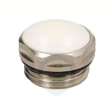 Chrome 1/2" Radiator Blanking Plug