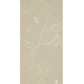 Nuance Feature Wall Panel 580mm x 2420mm - Marble Sable Fa