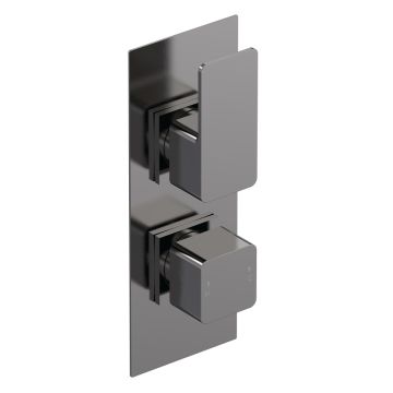 Nuie Windon Twin Concealed Shower Valve - Brushed Gun Metal