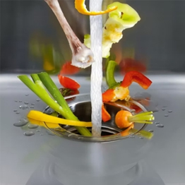 Kitchen Waste Disposer